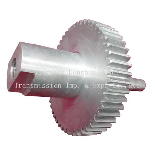 Nerjaveèi Spur Gears